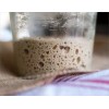 Unbranded SAN FRANCISCO SOURDOUGH YEAST STARTER SALLY 150 YEARS OLD