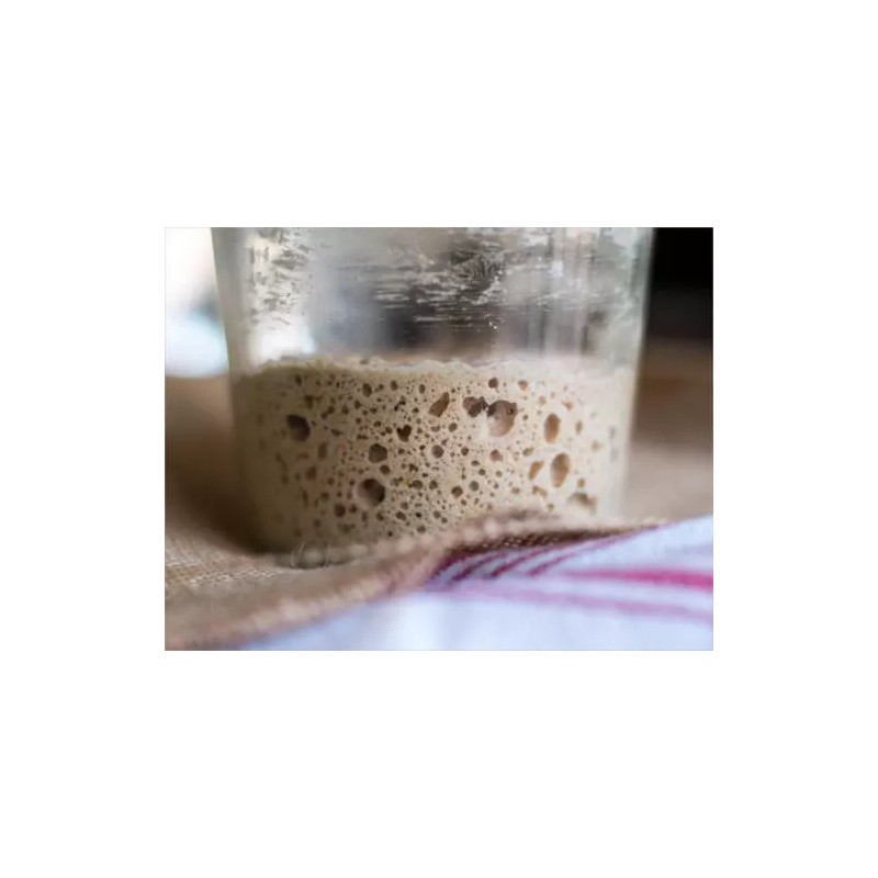 Unbranded SAN FRANCISCO SOURDOUGH YEAST STARTER SALLY 150 YEARS OLD