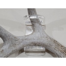 Acrylic Invisible Shed Antler Wall Mount Display