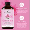 Handcraft Blends Geranium Essential Oil - 1 Fl Oz -