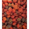 Spicy Chamoy Fruit Gushersz candy famous on TikTok- Build Your
