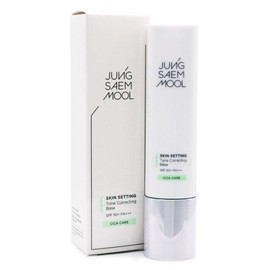 Jeong Sam Mul (NS홈쇼핑)정샘물 스킨 세팅 톤 코렉팅 베이스 40ml33830393 (NS Home Shopping) Jeong Saem Mool Skin Setting Tone Correcting Base 40ml 33830393