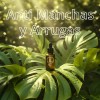 Kit Anti Ojeras Y Arrugas Roll On + Serum Antiedad