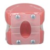 Demonstration Orthodontics Dental Model Disassembled Resin Teeth Model for Teaching