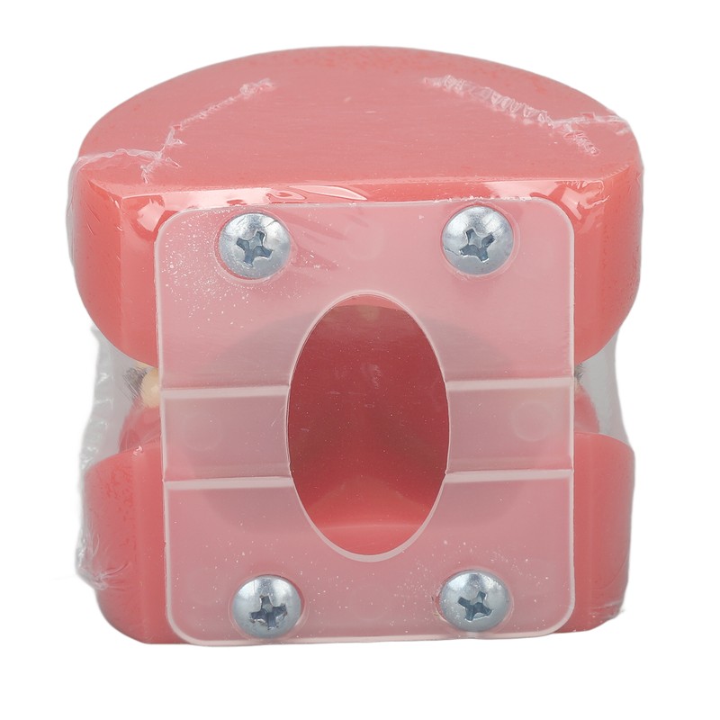 Demonstration Orthodontics Dental Model Disassembled Resin Teeth Model for Teaching