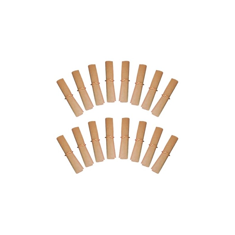 300 Pcs 2.5 x 6cm Mini Scroll Paper Roll Vintage