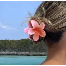 Hawaii Hair Clips Multi-Color Flower Hair Claw Catcher Hair Accessories Mini Clips For All Types Of Hairs Beach Style Plumeria Claw Clips For Women (Pack Of 6)