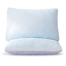 Alkyonos Shredded Memory Foam Cooling Soft Bamboo Viscose Pillows Queen Size Set of 2, Adjustable Hypoallergenic Hotel Quality Pillows for Stomach, Back and Side Sleeper, Oeko-TEX Certified