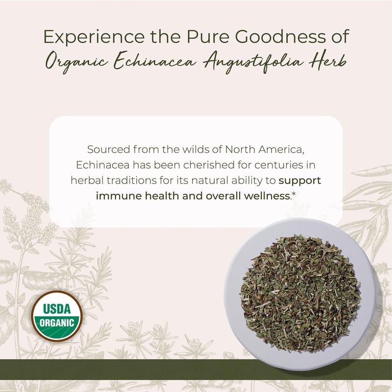 Starwest Botanicals Dried Echinacea Angustifolia Organic - Loose Leaf Herb