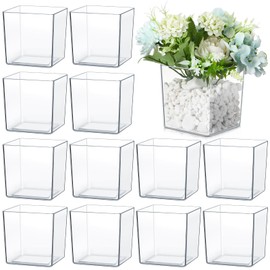 Tioncy 4'' x 4'' 12 Pcs Cube Clear Flower Vase Acrylic Flower Vase Square Acrylic Container Cube Decorative Centerpiece for Plant Wedding Home Office Floral Decor