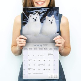 American Eskimo Dog Calendar 2022 - Dog Breed Monthly Wall Calendar - American Eskimo Dogs Calendar - Made In USA - 12 x 24 (Open) - Planner Calendar for Organizing & Planning