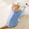 Yiwong Autumn and Winter Warm Hoodie for Dogs, Kittens, Imitation