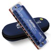 East top Harmonica Blues Harmonica 10 Hole Harmonica D Tone