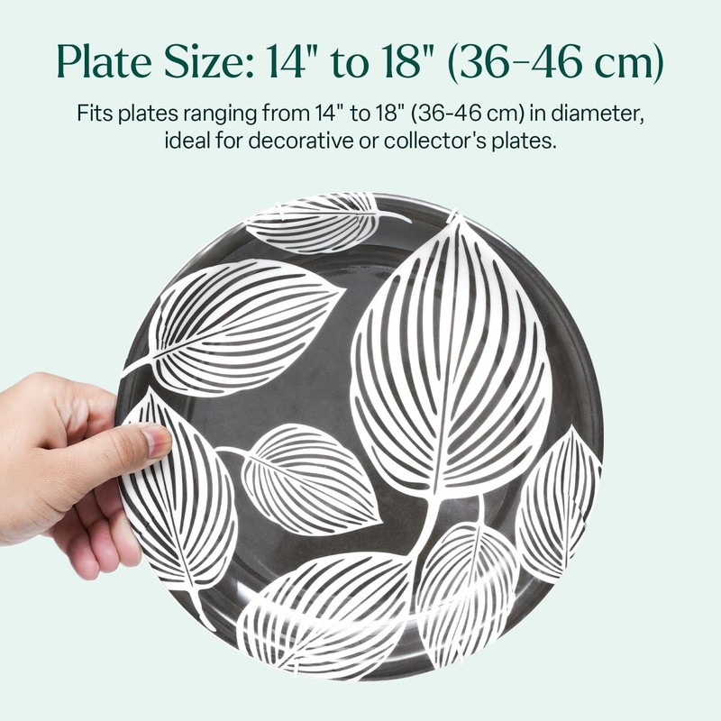 Invisible Plate Hangers for Wall | Decorative Dish Display Holders