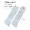 Applause 4 Pair Set, Silk, 5 Toe Crew Length Socks,