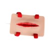 Colcolo Wound Simulation Model,Trauma Model Sturdy Skin Color Medical Education
