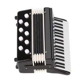 Mini Accordion, Accordion Plastic and Metal Accordian with Storage Box for Home Decoration