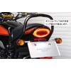 POSH 132290-96 Motorcycle LED Tail Lamp, Luminous LED Tail Lamp