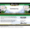 Common Ivy Cream (2 oz, ZIN: 514402) - 3 Pack
