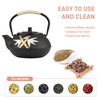 Cast Iron Teapot,SECHUDO Tea Kettle,Japanese Cast Iron Teapot with Stainless