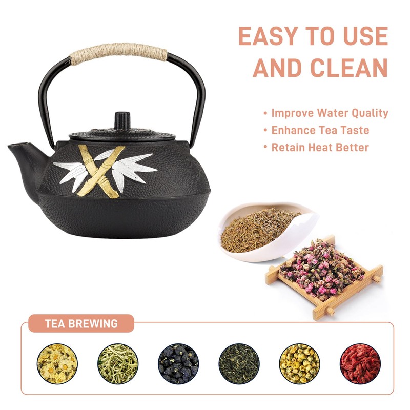 Cast Iron Teapot,SECHUDO Tea Kettle,Japanese Cast Iron Teapot with Stainless