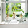 Hewory Glass Avocado Vase for Growing: 3 Pcs Acorn Vases