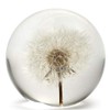 Dynasty Gallery FloraCulture Paperweight Dandelion