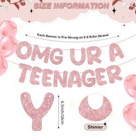 Fulmoon Omg Ur a Teenager Glitter Banner 13th Birthday Decorations Pre Strung 13th Birthday Banner for 13 Year Old Teen Birthday Party Favors Supplies(Rose Gold)