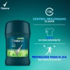 Desodorante En Barra Hombre 1 Pza 45 Gr Rexona Forest