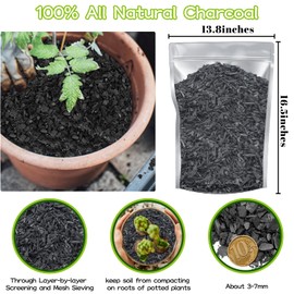 Legigo 8QT All Natural Horticultural Charcoal- Activated Hardwood Plant Charcoal for Soil Amendment, Conditioning Bonsai Soil, Succulent Soil, Terrarium Supplies, Indoor Plant Potting Soil