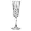 Lakeland Crystal-Look Acrylic Champagne Prosecco Flute