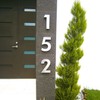 Numero para casas 3D 25cm de alto (Numero 1)
