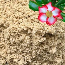 GARDENWISE Fine Sand for Plants – Horticultural Sand for Succulents, Cactus, Potting Mixes, Terrariums & Decorative Indoor Gardens, Made in USA (3 quarts - 8.4 lbs)