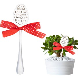DICOSMETIC Garden Marker Friendship Gift 17.7cm Garden Funny Spoon Decorative Marker Stake Signs Platinum Plants Decor Tags for Indoor Outdoor Green House Decoration