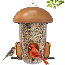 LONA Bird Feeders for Outdoors Hanging – 3 Separate Compartments, 3 Feeding Ports, Weatherproof Dome & 3 Ways to Hang, Large Capacity for Cardinals/Finches (Brown，Plus