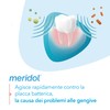 MERIDOL GENCIVES IRRITEES Dentifrice Pack Double (2 x 75 ml)