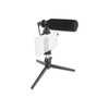 Delock Vlog Shotgun Microphone Set for Smartphones and DSLR Cameras