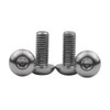 Ruifu Bicycle Bottle Cage Titanium Alloy Bolts ISO7380 M5x8mm M5x10mm