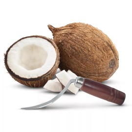 Besser Products Coconut Meat Removal Tool - Easily Removes Flesh from Shell in Seconds