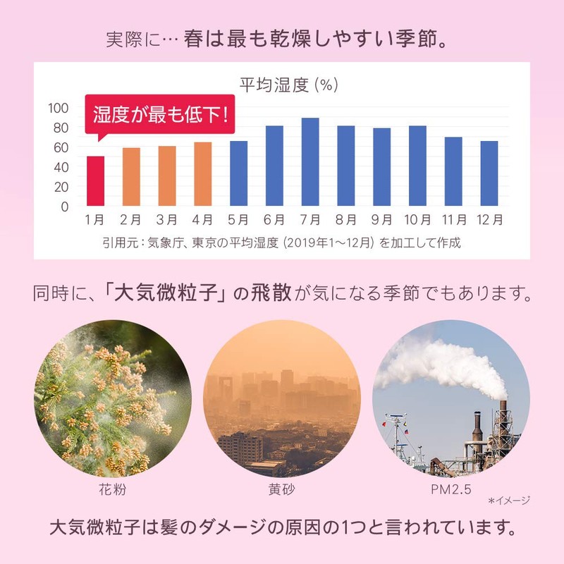 Botanist Damage Care 21 Botanical Spring Treatment