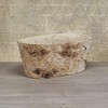 Napco 21389 Enchanted Flora-Birch Bark Wood Planter/Cache Pot with Liner,