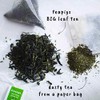 Teapigs Mao Feng Green Tea Bags Made With Whole Leaves