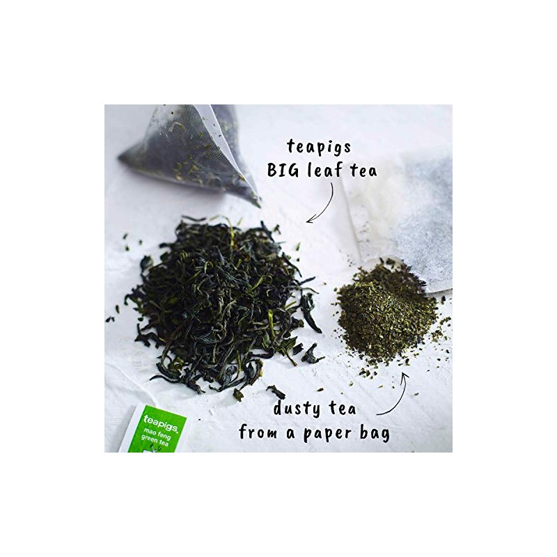 Teapigs Mao Feng Green Tea Bags Made With Whole Leaves