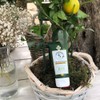 La Provençale Le Baume Radieux Nourrissant Bio 50ml