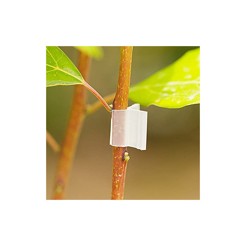 JCBIZ 100pcs Clear Horticulture Grafting Clamps 2mm Plastic Plant Grafting