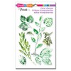 Stampendous Sellos perfectamente transparentes