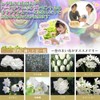Flower Palette, Cut Flower Dye, Free Research, Flower Arrangement, Gift
