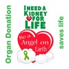 CafePress Kidney for Life Oval Car Bumper Sticker