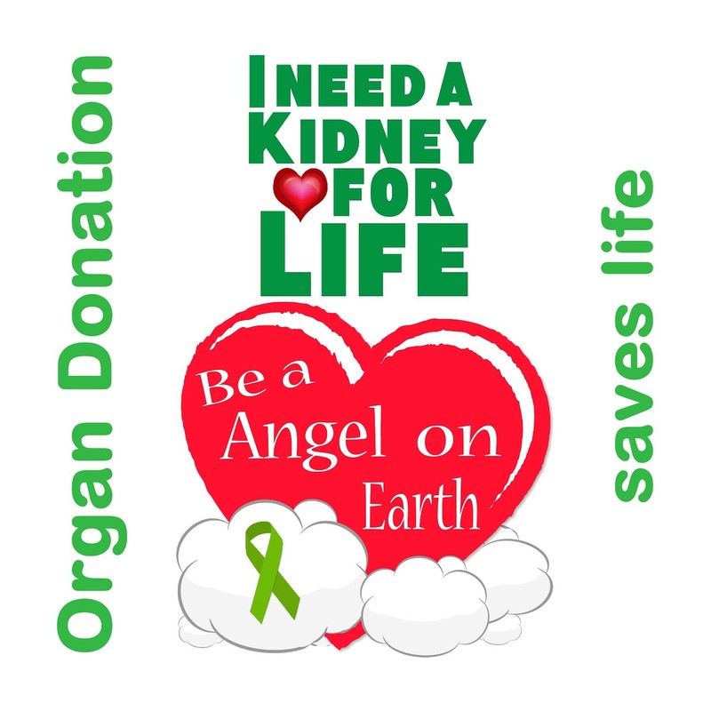 CafePress Kidney for Life Oval Car Bumper Sticker