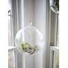 WGV Hanging Terrarium Globe, Width 8", Height 9", DIY Air